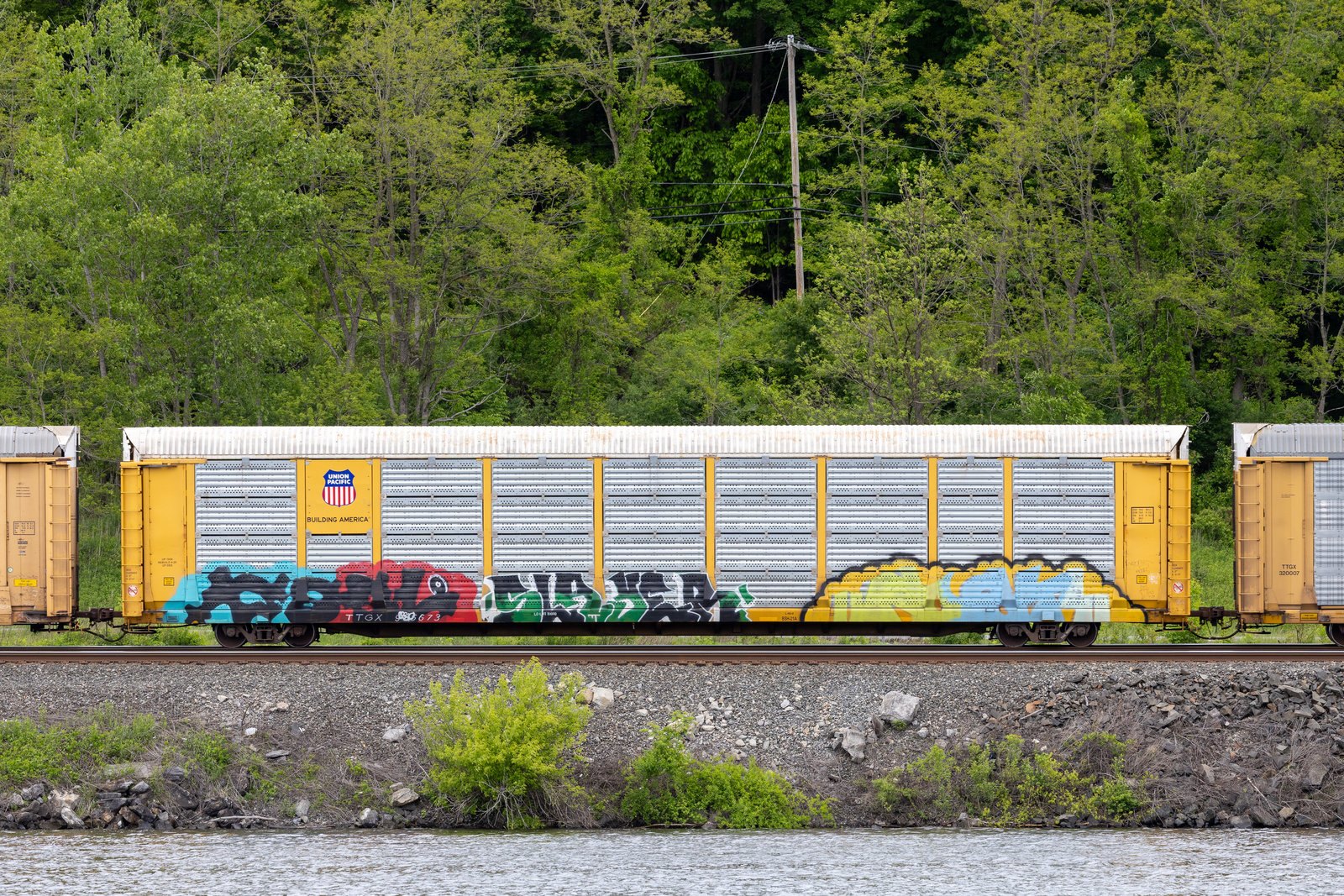 TTGX 965673