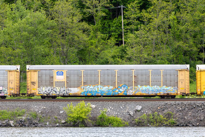 TTGX 986702
