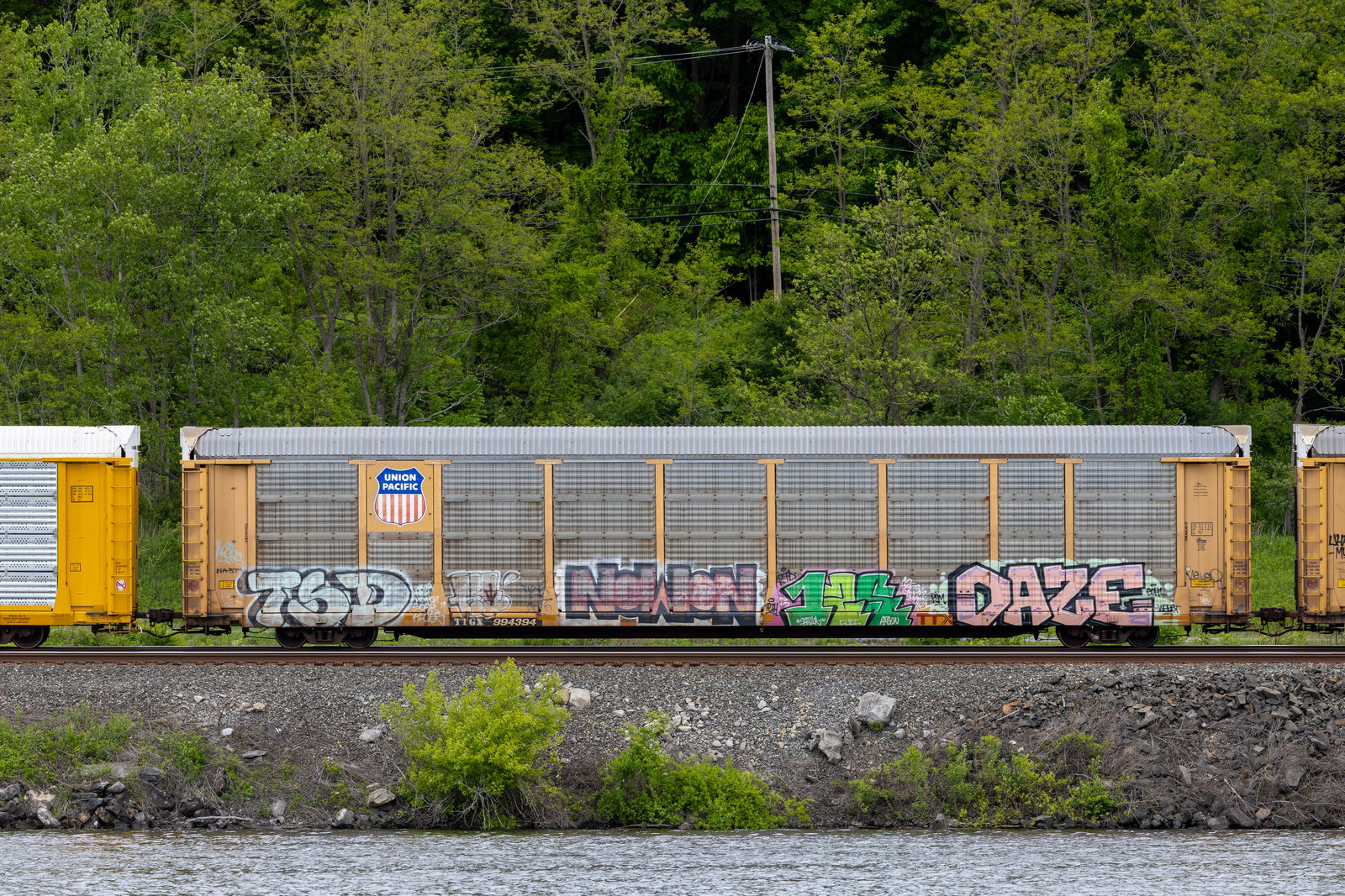 TTGX 994394