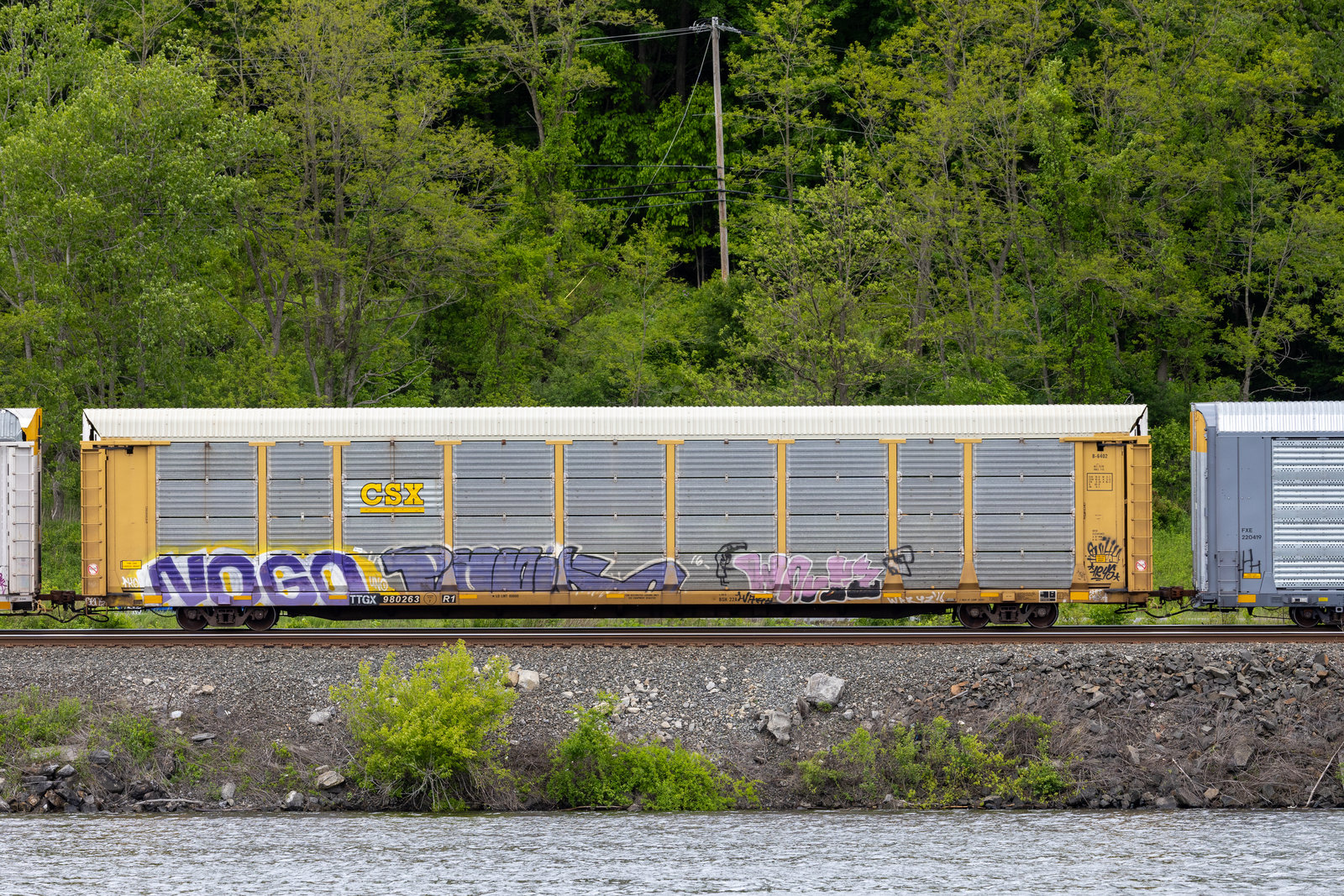 TTGX 980263
