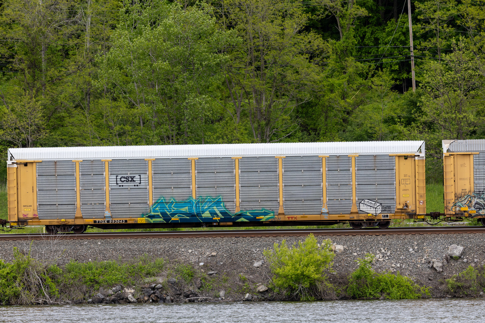 TTGX 993043