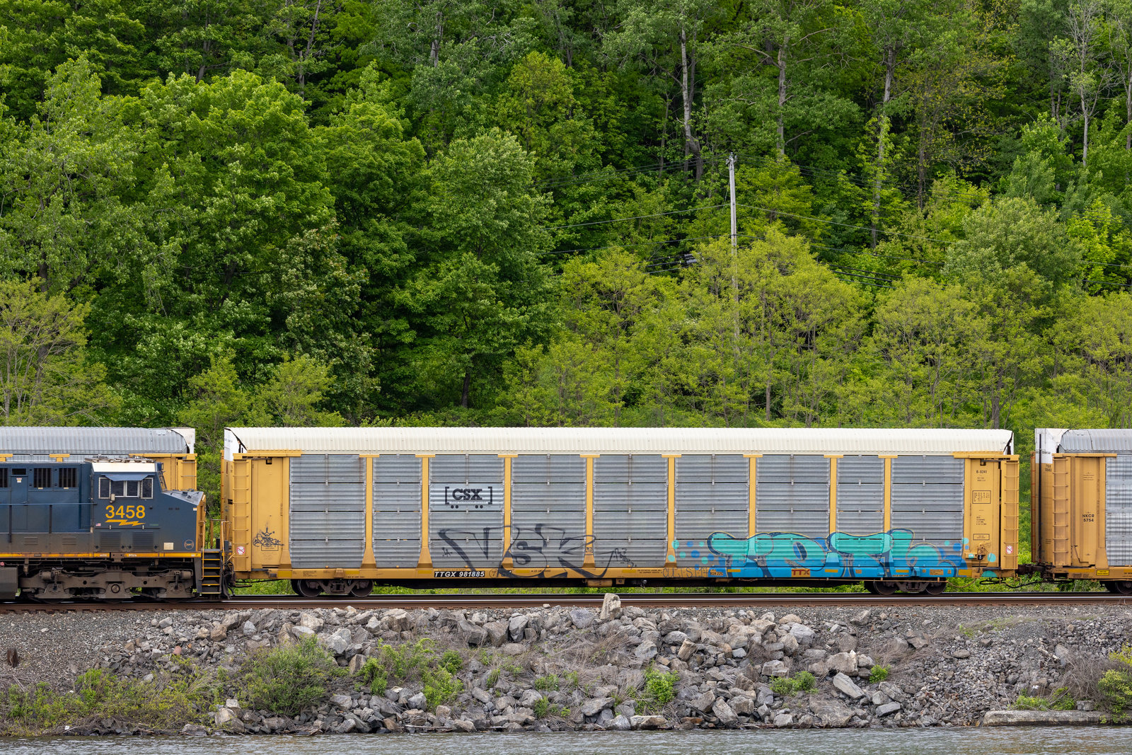 TTGX 981885