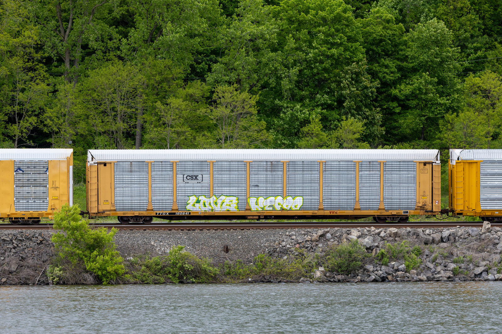 TTGX 160841