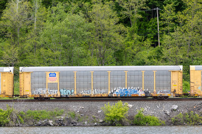 TTGX 988262