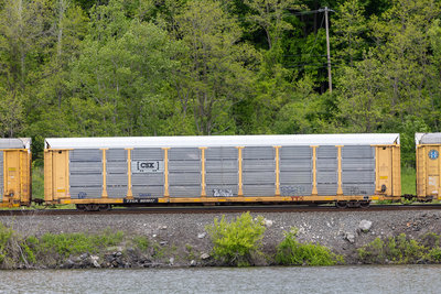 TTGX 981917