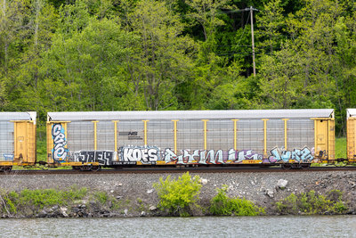 TTGX 979403