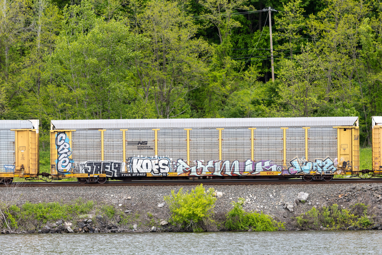 TTGX 979403