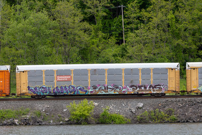 TTGX 971189