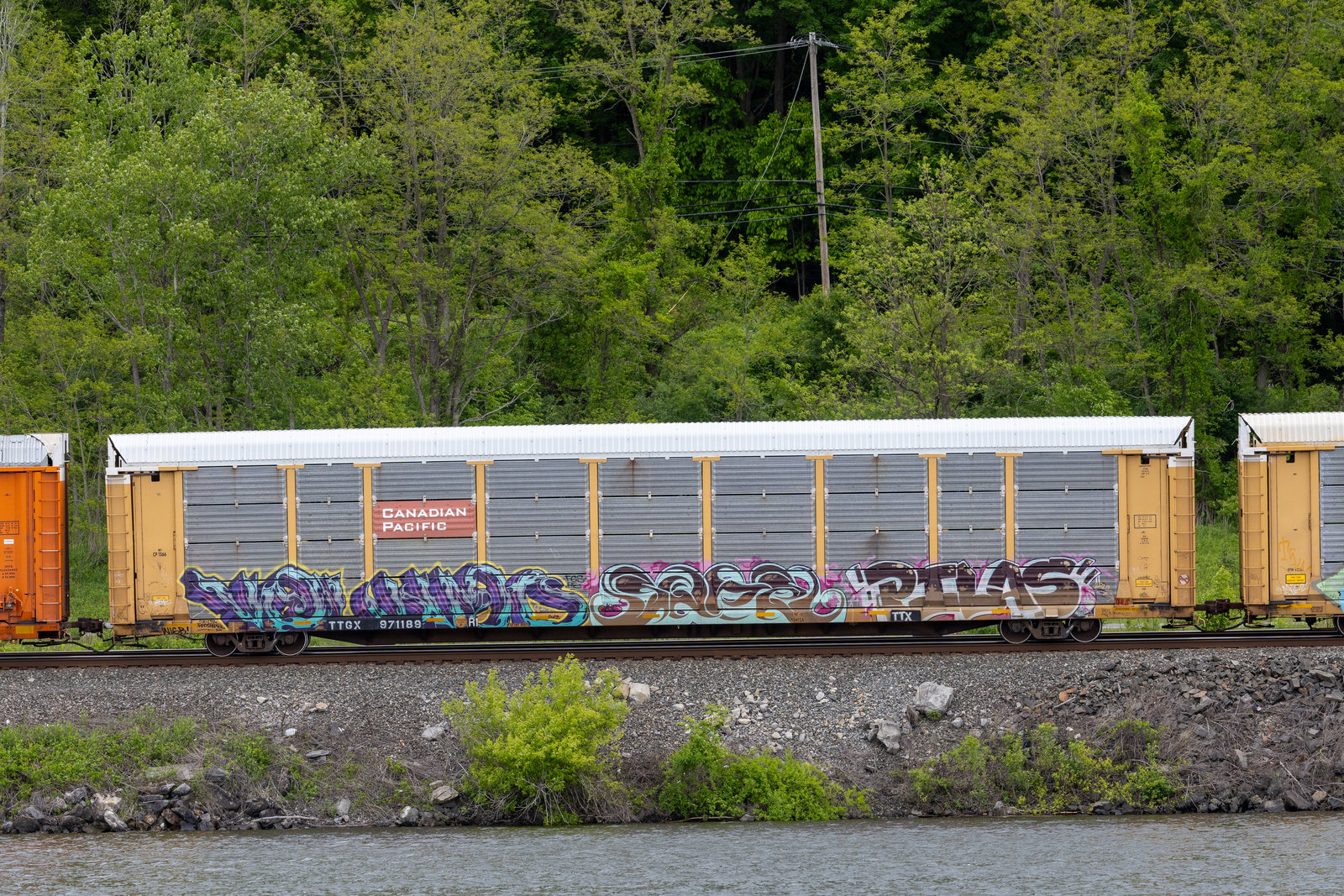 TTGX 971189