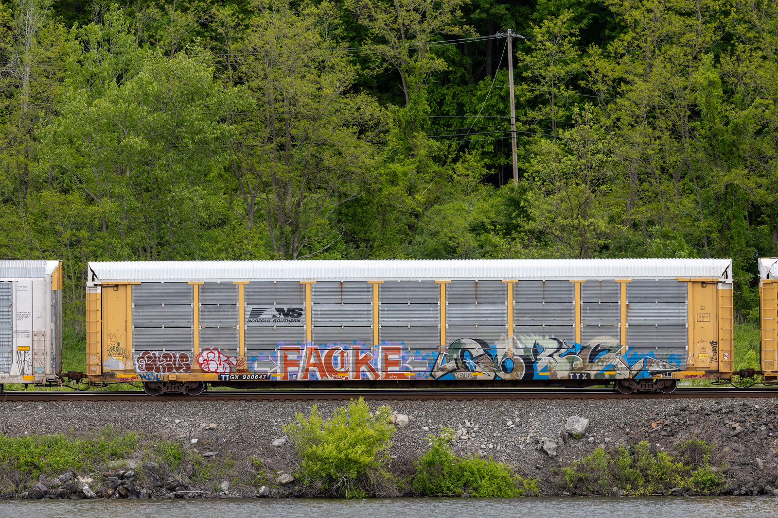 TTGX 980647