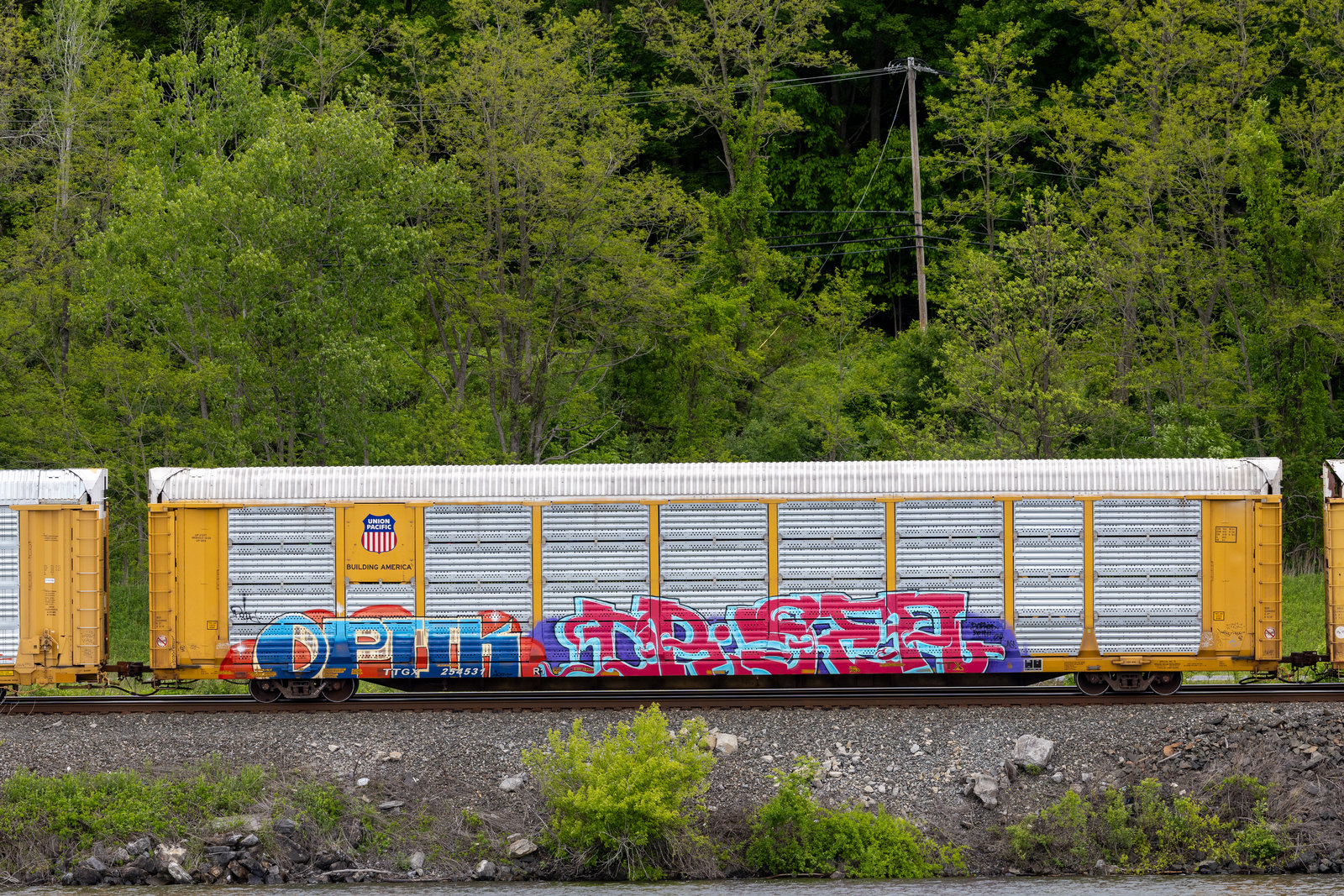 TTGX 254531