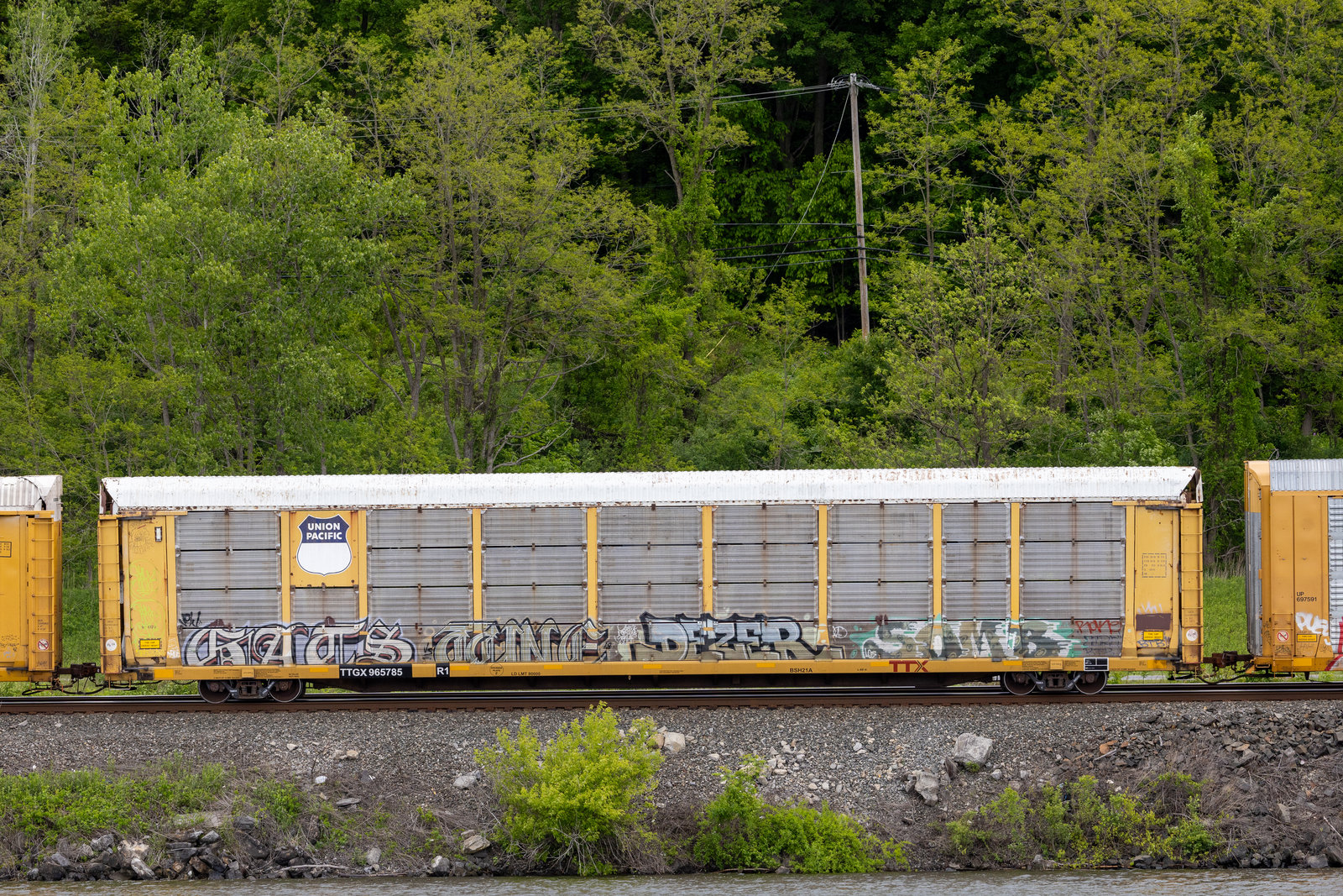 TTGX 965785