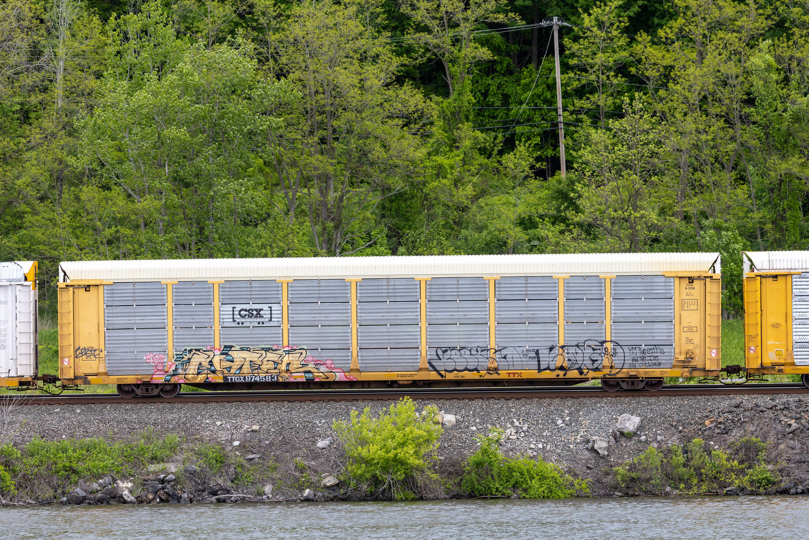 TTGX 974583