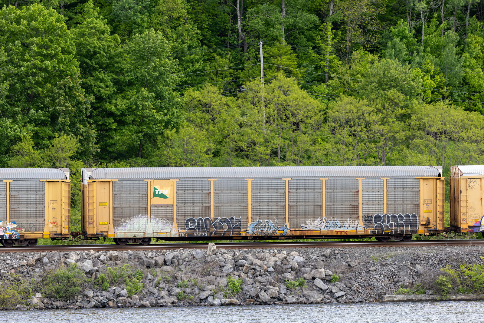 TTGX 995734