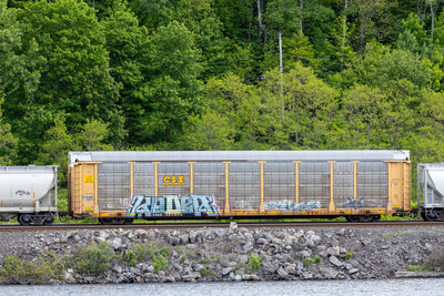 TTGX 987926