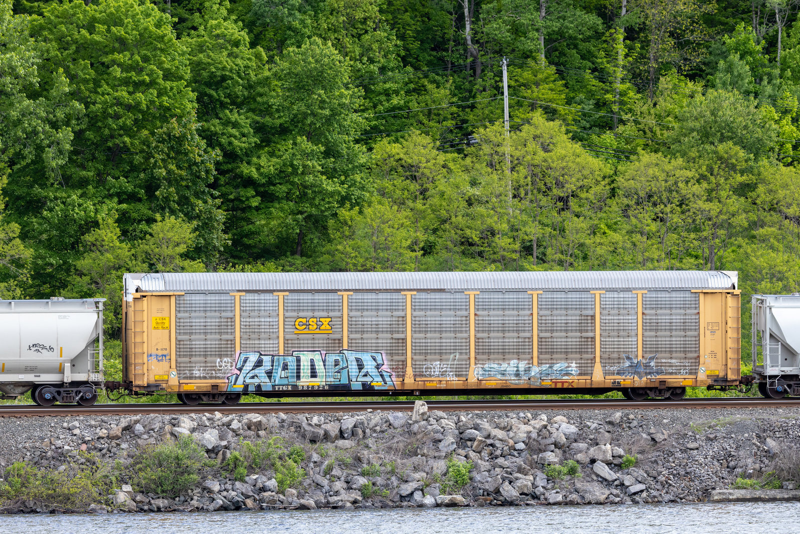 TTGX 987926