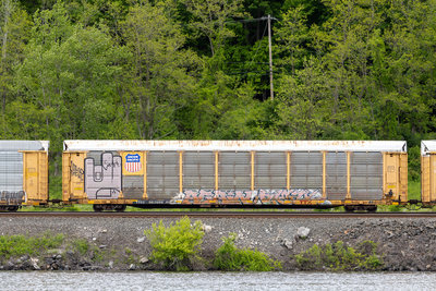 TTGX 963986