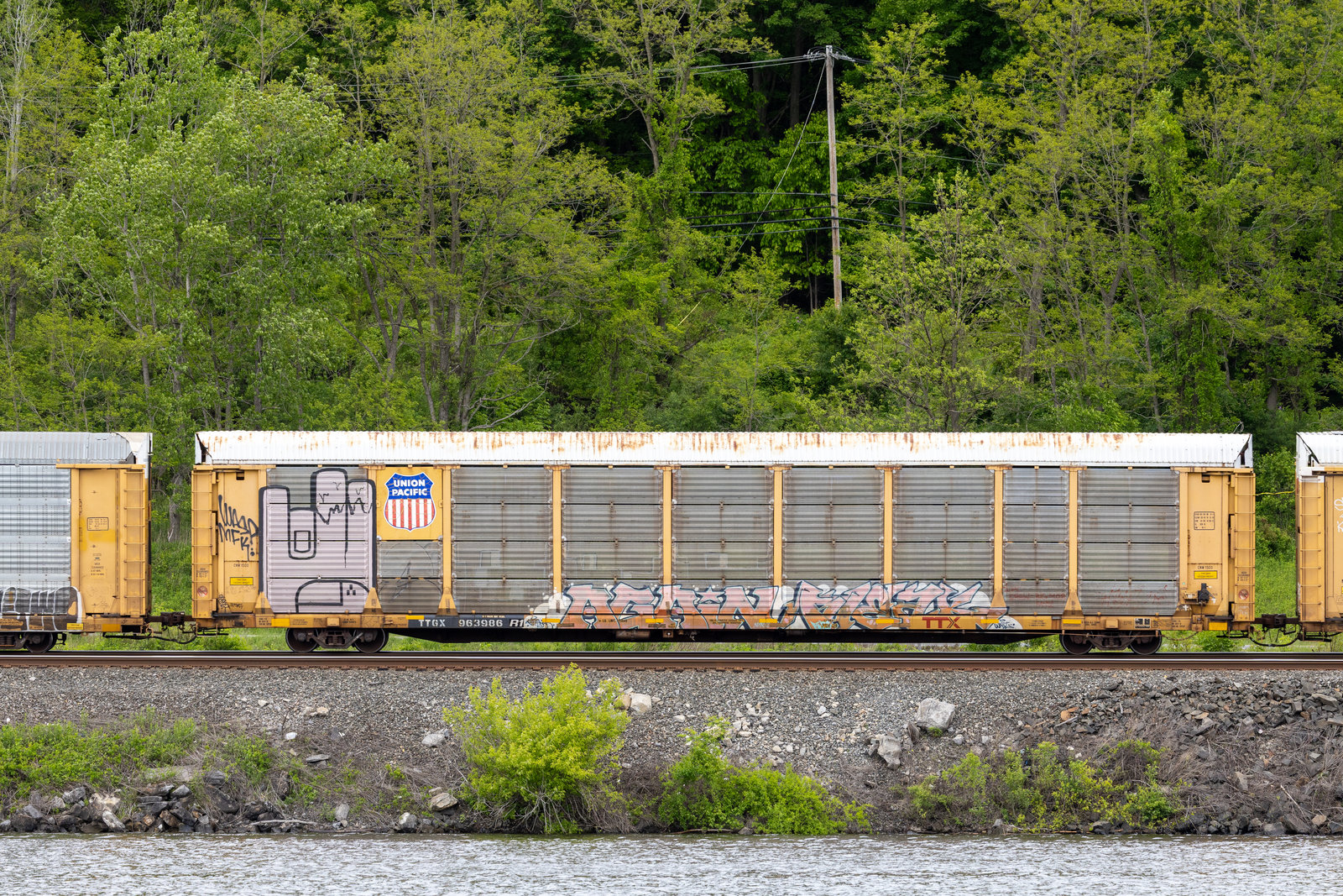 TTGX 963986