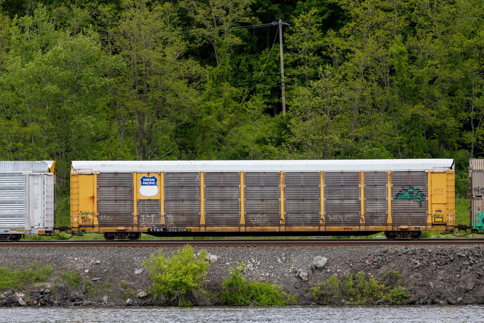TTGX 254556