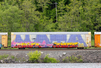 TTGX 716087