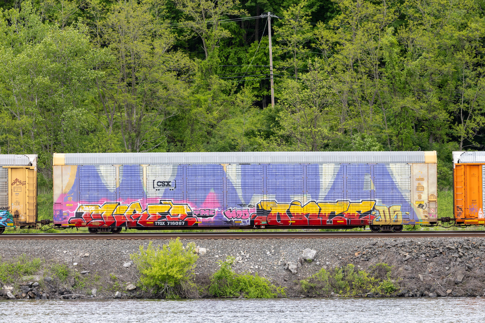 TTGX 716087