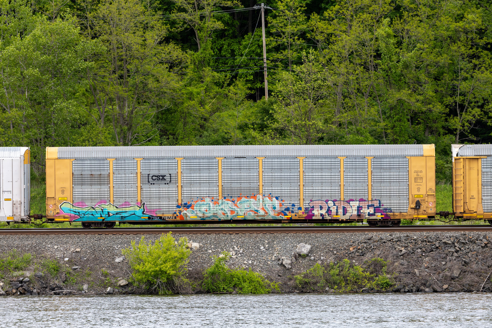 TTGX 715725