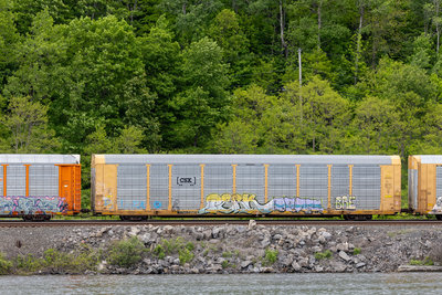 TTGX 715870