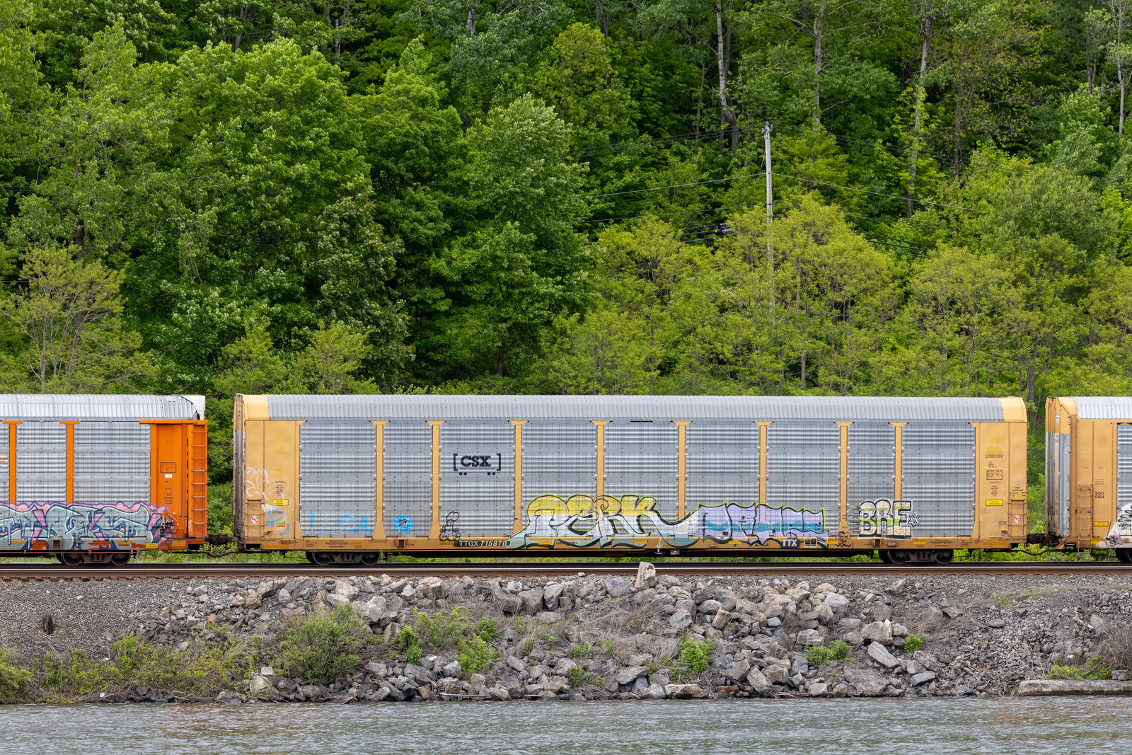 TTGX 715870