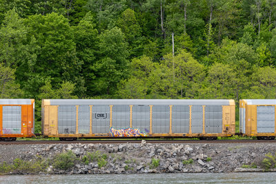 TTGX 715436