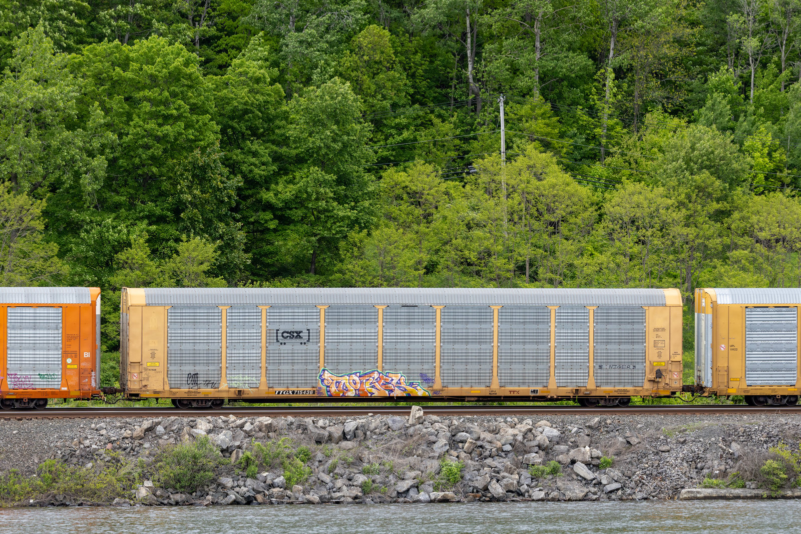 TTGX 715436