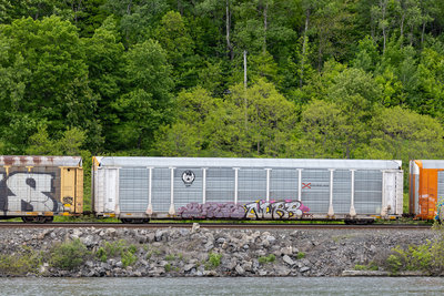 TTGX 707632