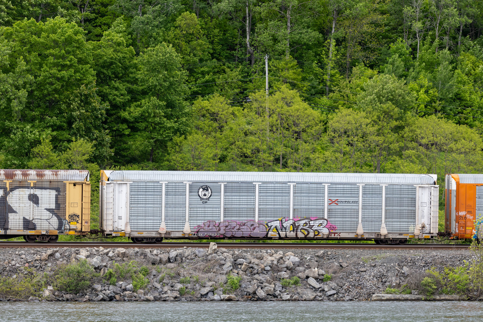 TTGX 707632