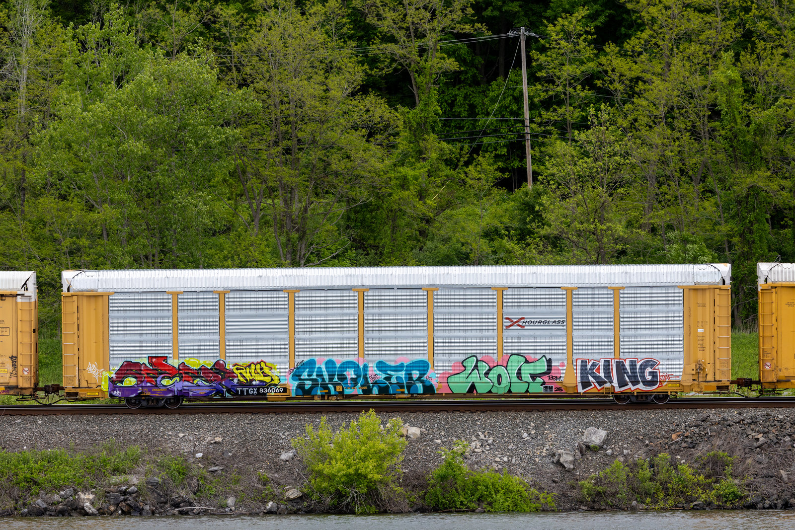 TTGX 836069