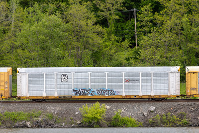 TTGX 708721