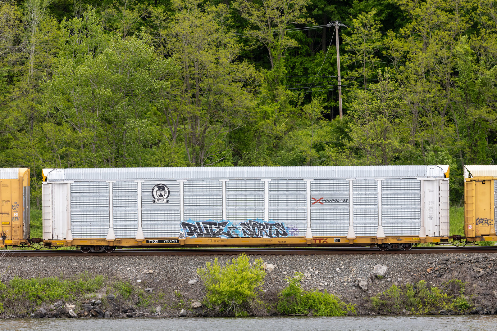 TTGX 708721