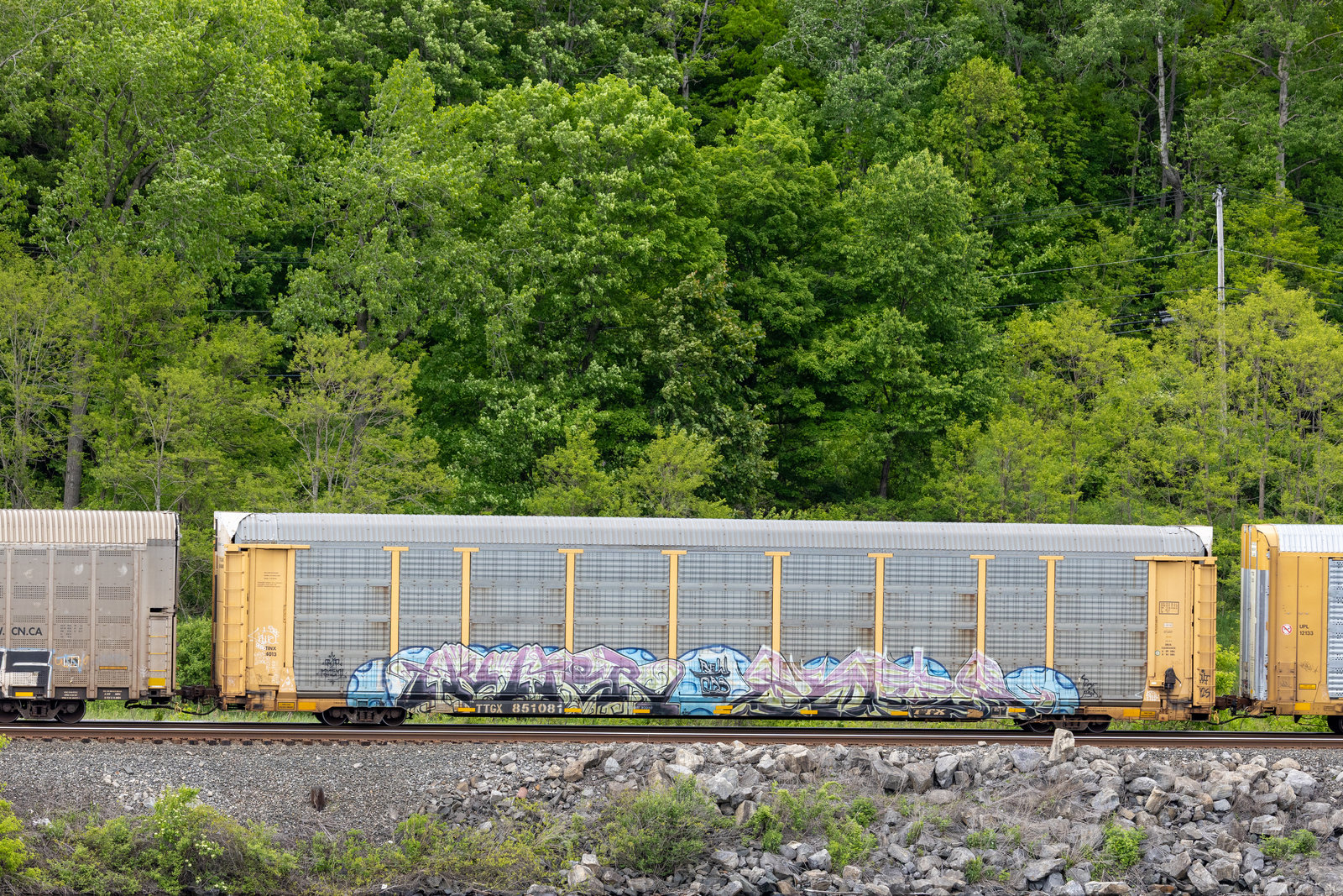 TTGX 851081