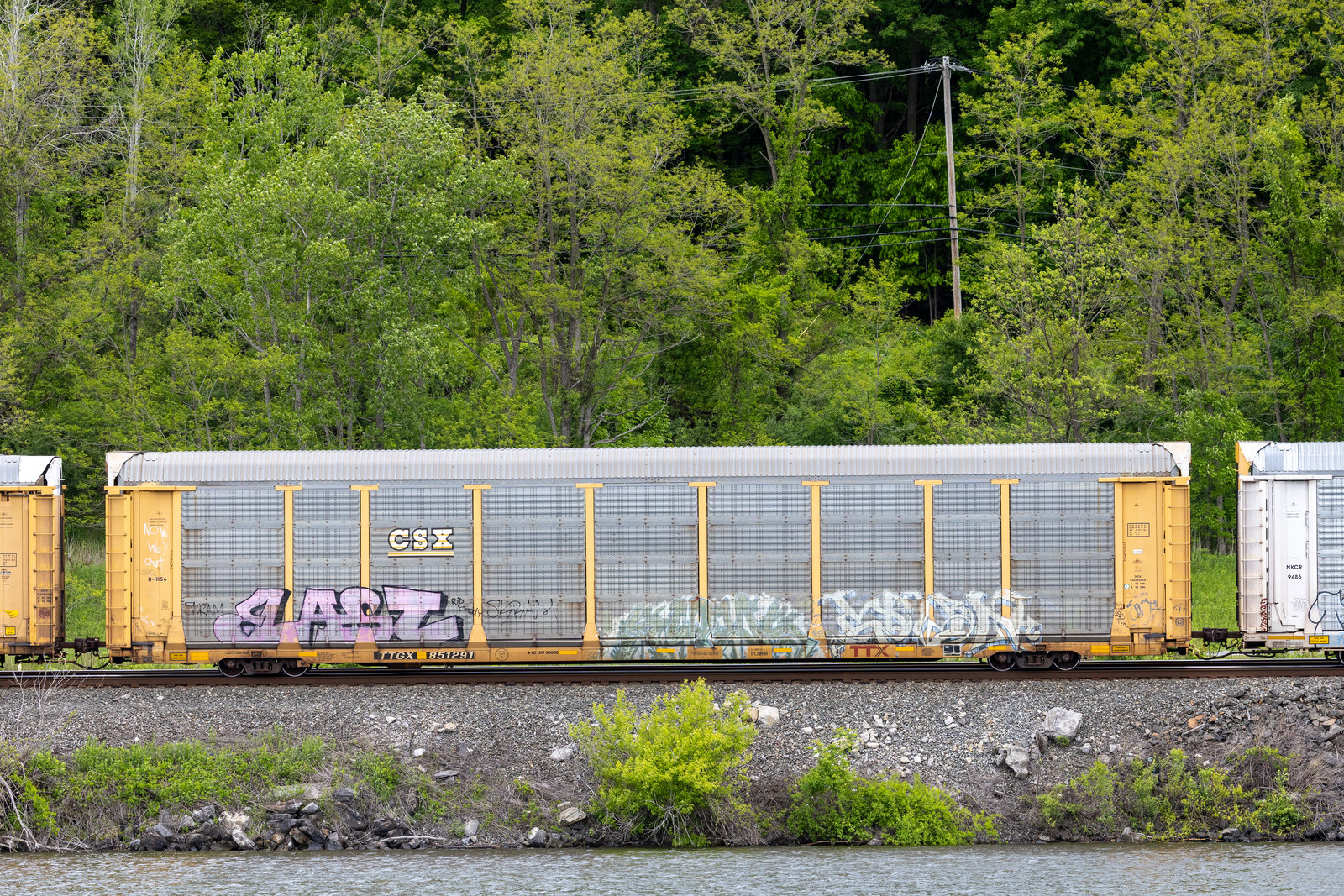 TTGX 851291