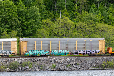 TTGX 851859