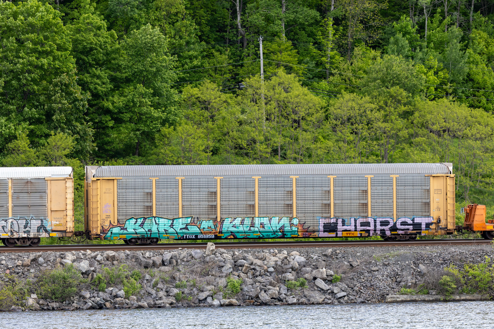 TTGX 851859