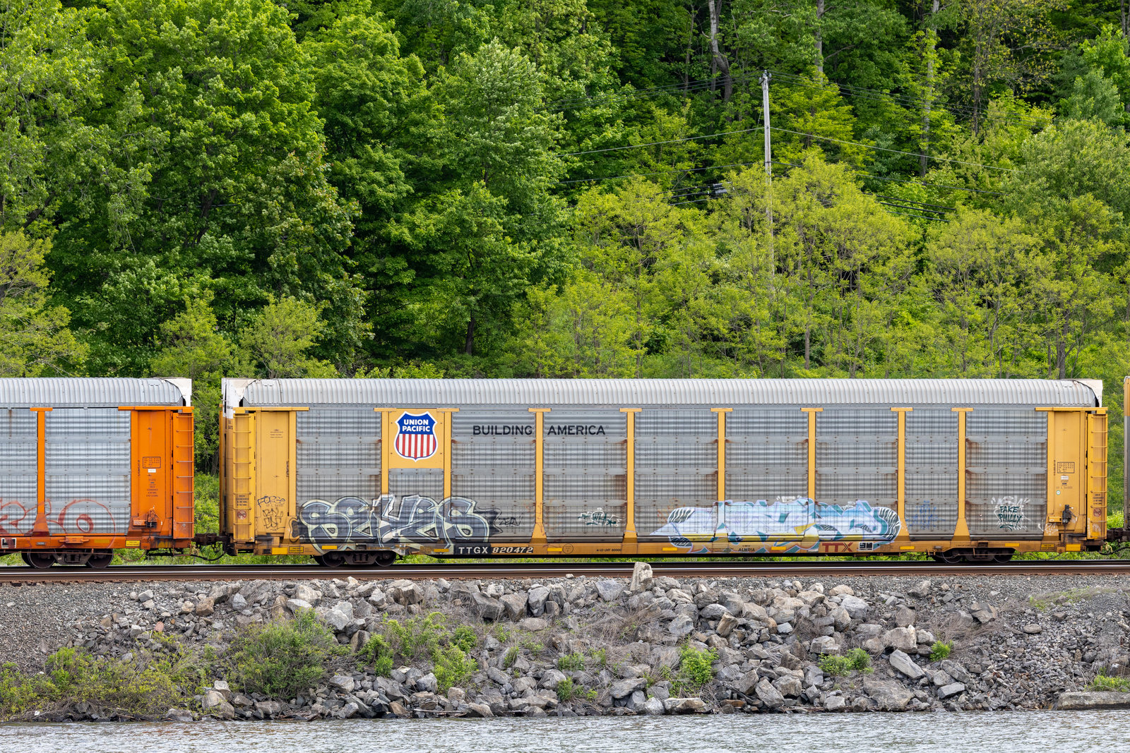 TTGX 820472