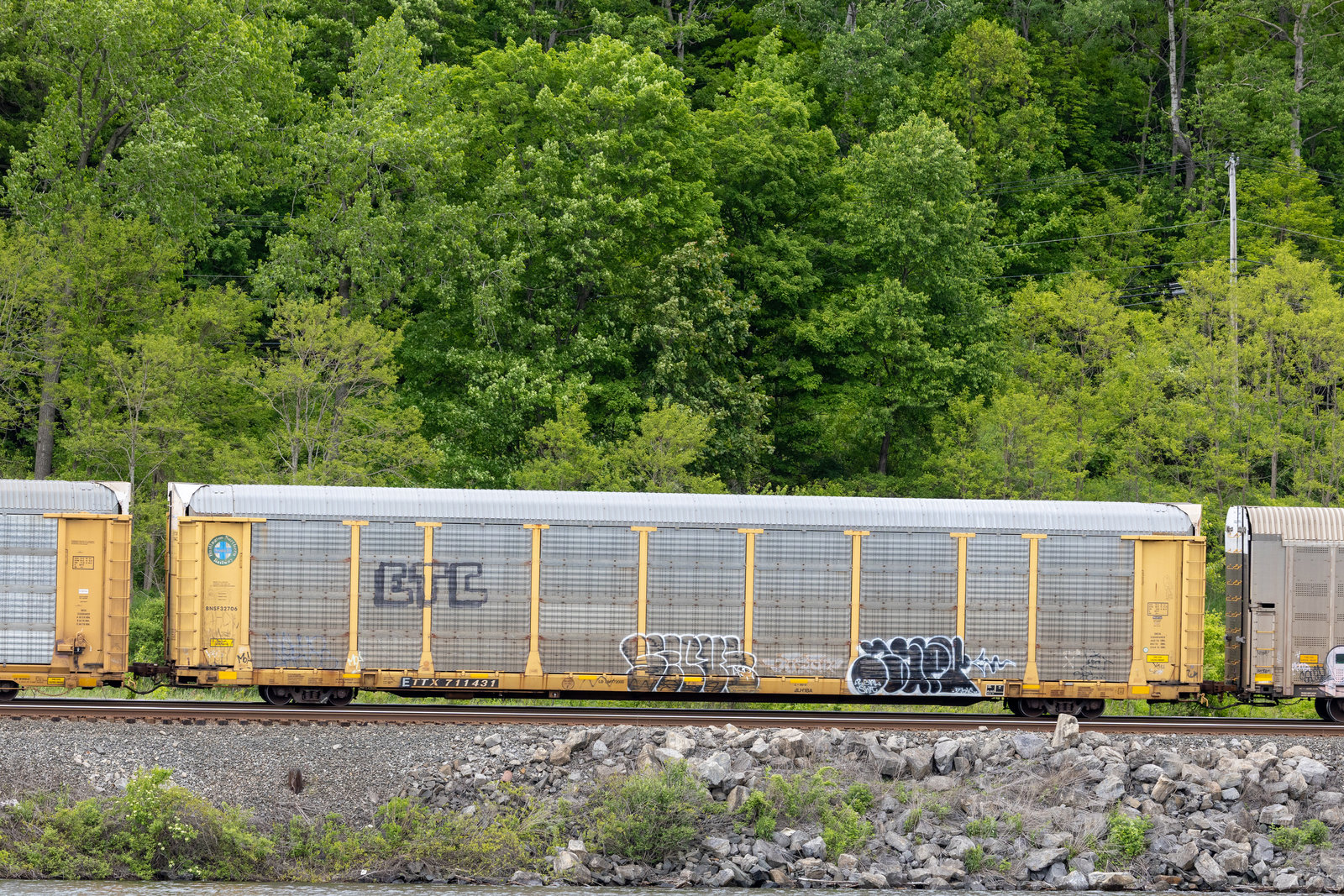 ETTX 711431