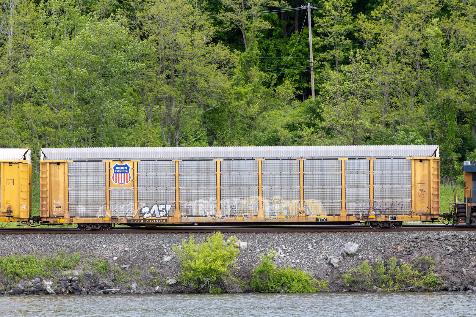 ETTX 710584