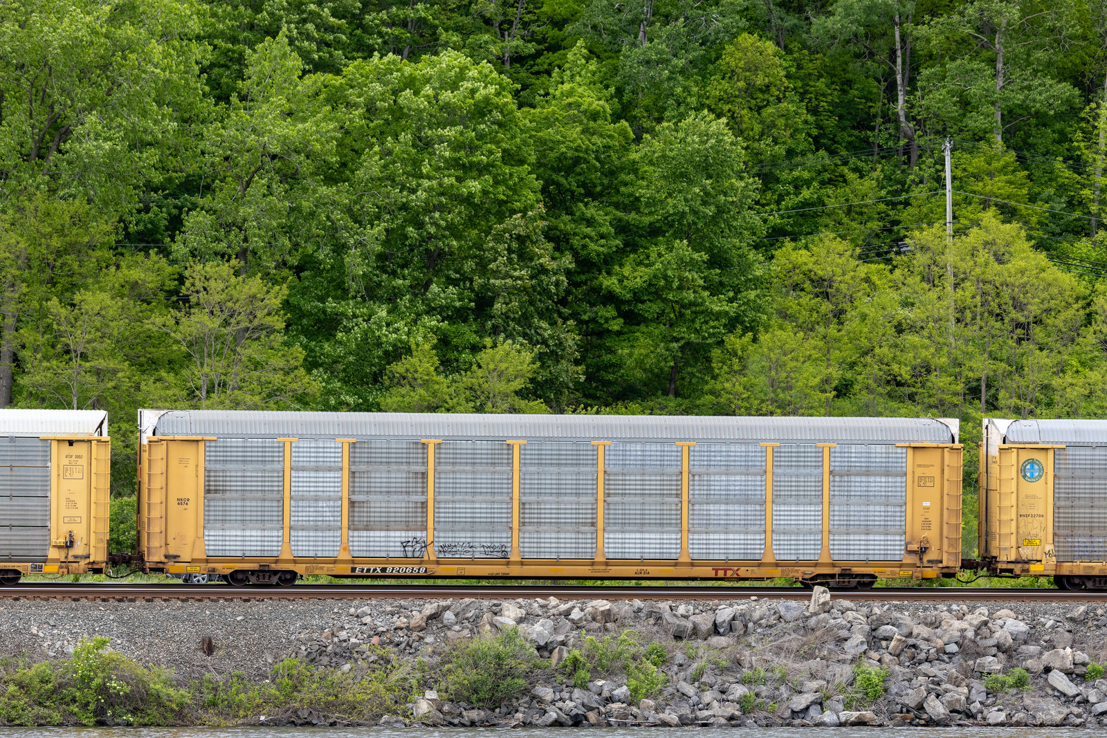 ETTX 820658