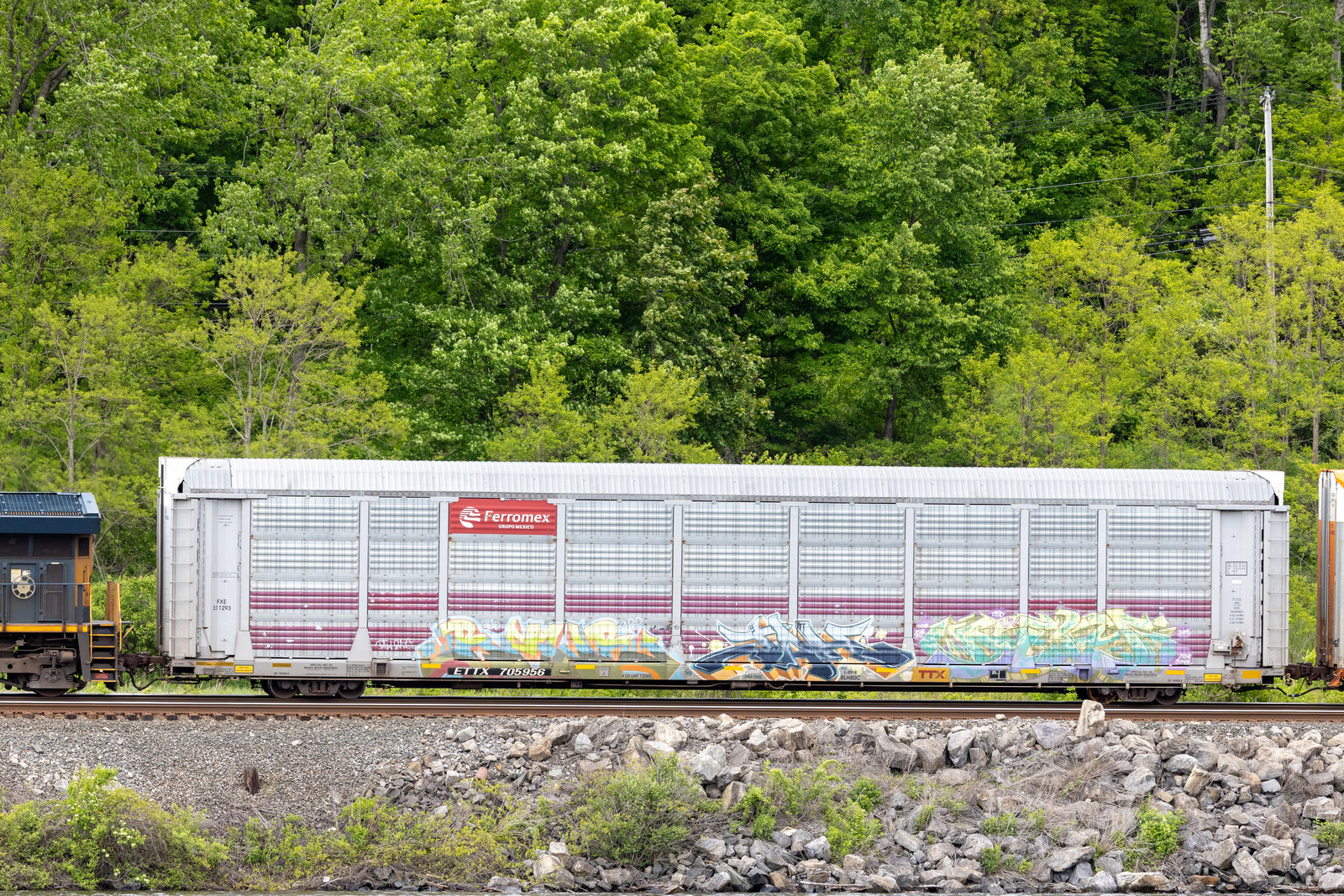 ETTX 705956