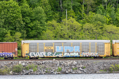 CNA 712751