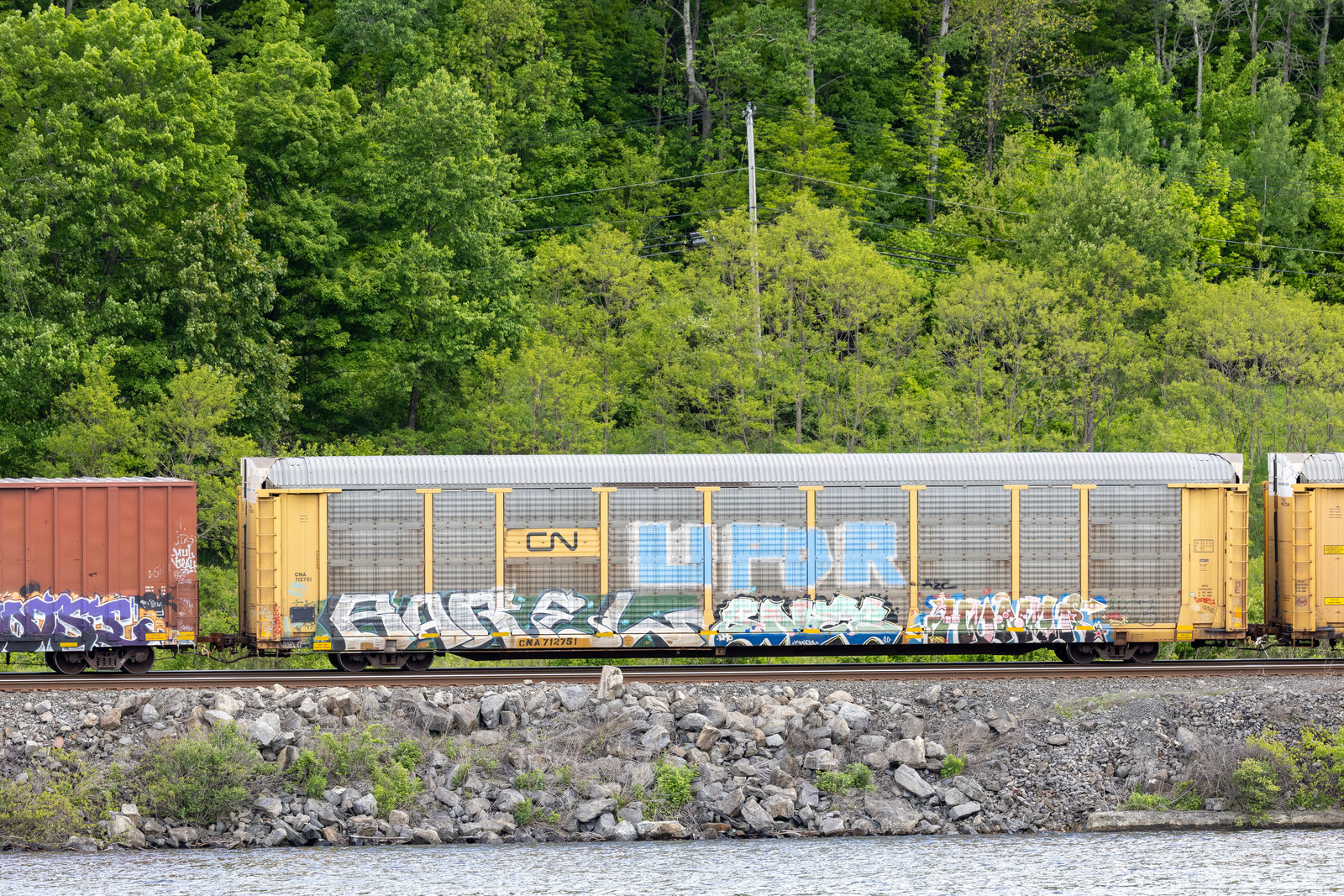 CNA 712751