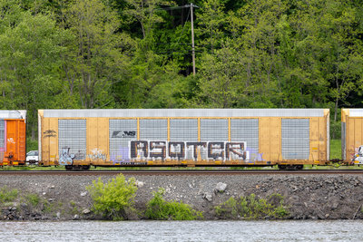 CTTX 691777