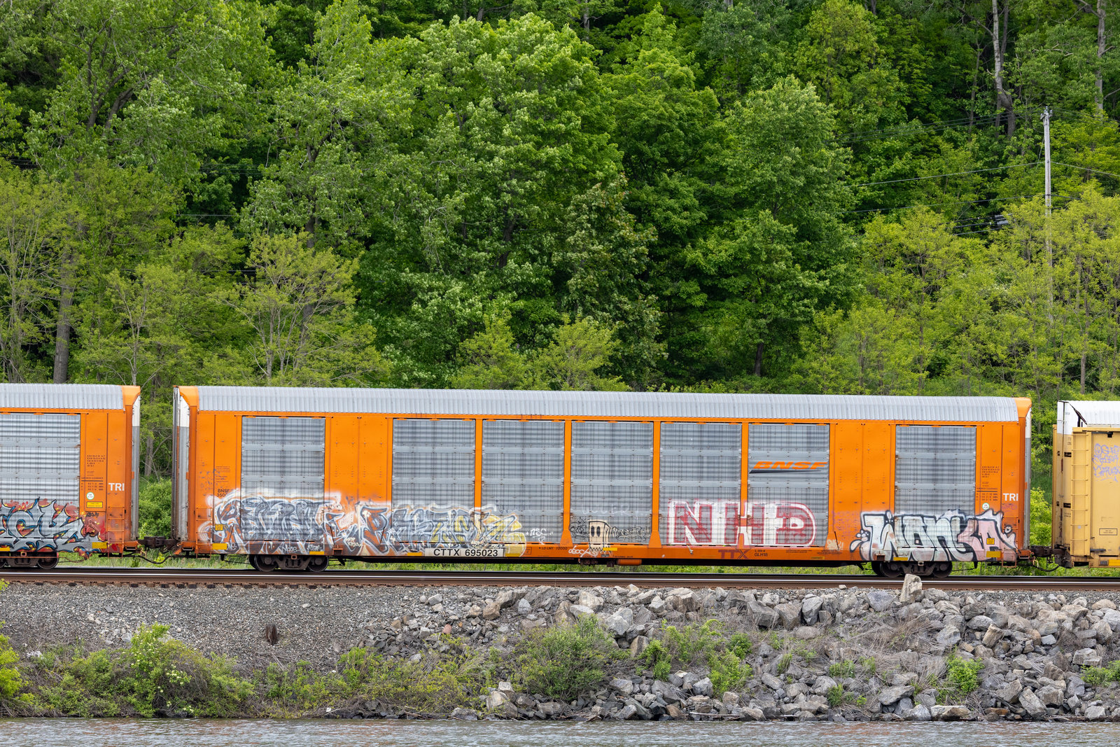 CTTX 695023