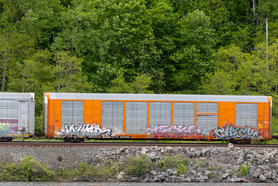 CTTX 694983