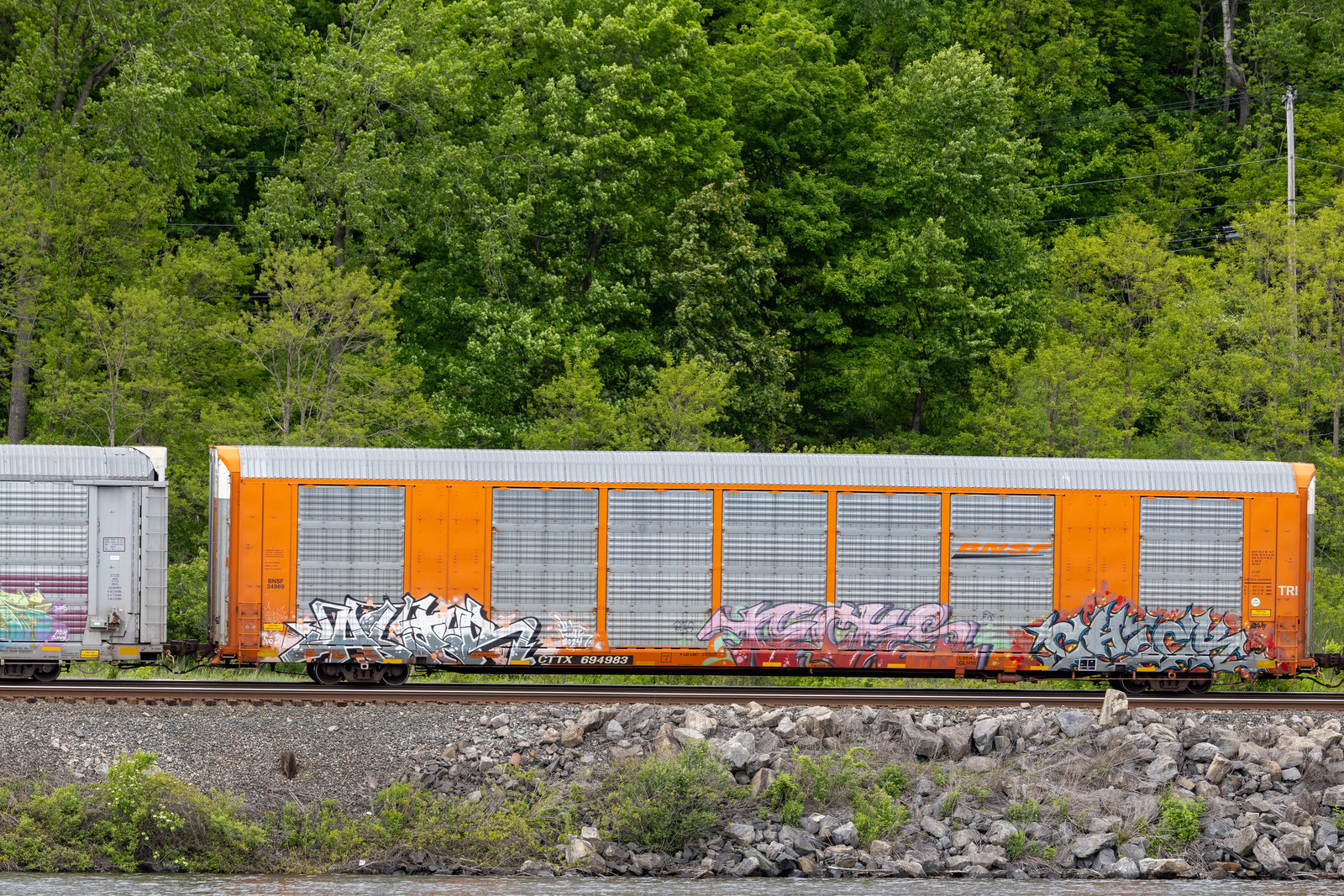 CTTX 694983